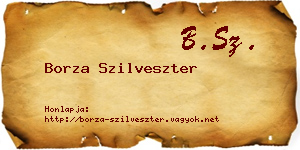 Borza Szilveszter névjegykártya